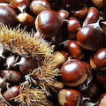 Montella: dal 12 al 14 settembre “European Chestnut Days”, l'evento internazionale sulla castagna 