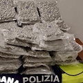 Napoli, all'aeroporto di Capodichino sequestrati circa 23 kg di marijuana in arrivo da Dubai 