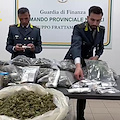 Napoli, sequestrata piantagione di canapa indiana e oltre 50 kg di marijuana già essiccata 