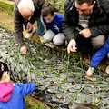 Nel Parco Giardino di Furore arriva l’ 'Orto in Condotta', progetto rivolto agli alunni