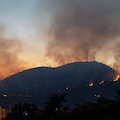 "Operazione prevenzione incendi", 6 maggio iniziativa per pulire il sottobosco di Pineta Monte Caruso