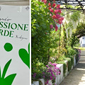 “Passione Verde”, premiato il Giardino Segreto dell’Anima di Tramonti