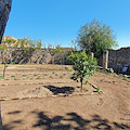 Per la Giornata nazionale del Paesaggio rinasce il vivaio di Pompei presso la Casa di Pansa