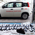 Pesca di frodo. A Cetara sequestrati 60kg di pescato /foto