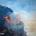 Petizione online di “Basta incendi!” che chiede al Governo gestione diretta del servizio antincendio boschivo