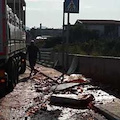 Pomodori in strada ad Angri, conducente autoarticolato sanzionato