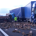 Pontecagnano, incidente stradale tra due camion lungo la A2: carico di legna invade la carreggiata