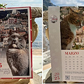 Positano Animali lancia il suo calendario 2025: ricavato sarà destinato alla cura dei gatti di strada 