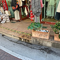 Positano: escrementi di animali all'entrata dei negozi, il malcontento dei commercianti /FOTO