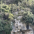 Positano, previsto intervento di risanamento dei costoni rocciosi sulla strada provinciale per Montepertuso-Nocelle