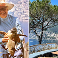 Positano, quando "Il San Pietro" ospitò una coppia di pinguini 