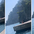 Positano. Tuffo dalla banchina per l'uomo al guinzaglio: il nuovo video virale /Foto /Video