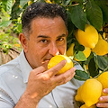 "Profumo di Limone", nel nuovo libro di Sal De Riso settanta ricette all'oro giallo della Costa d'Amalfi