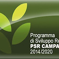 PSR Campania: fino a 1,5 milioni per creazione e ammodernamento di aziende agricole