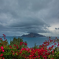 Punta Campanella, domenica escursione gratuita con guide ambientali