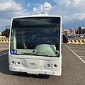 Punta Campanella: sotto l'albero due bus elettrici per la Penisola sorrentina