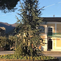 Ravello, anche quest'anno l'albero di Natale in piazza fa... discutere 