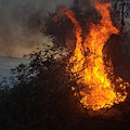 Ravello, emanata ordinanza con precisi divieti per prevenire rischio di incendi boschivi 