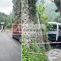 Ravello, morte autista precipitato col bus dalla SP 75. Il cordoglio del Sindaco /VIDEO