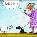 Razzista: basta la parola!