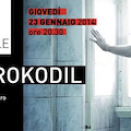 Red Krokodil apre "Il Cinema Impossibile"