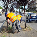 Reddito di Cittadinanza, a Cava de' Tirreni partono nuovi Progetti Utili alla Collettività (PUC) 