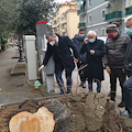 Salerno, albero si abbatte a Torrione. Sindaco: «Non è colpa del personale del Settore Verde Pubblico»