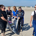 Salvare delfini in difficoltà: anche l'Area Marina Punta Campanella al corso di formazione per Rescue Team