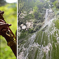 Scala, 24 agosto Sound Trek: “La Valle risuona” tra musica e natura con il sassofono di Daniele Sepe e la chitarra di Alessandro Morlando 