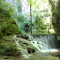 Scatti d'autore alla Valle delle Ferriere: sabato 18 escursione fotografica