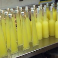 Sequestrate 1774 bottiglie di limoncello con falsi marchi IGP