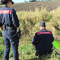 Smaltiva reflui provenienti dalla propria azienda in un fosso canale, donna denunciata a Capaccio