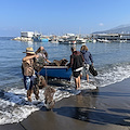 Sorrento, cinque giorni di bonifica e monitoraggio dei fondali marini: raccolti due tonnellate di rifiuti