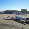 Spari all'aeroporto di Dallas. Fermata una donna 