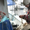 Stop al polistirolo in mare: a Cetara arrivano 500 cassette ecologiche per i pescatori