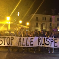 «Stop alle ruspe», Cava si mobilita contro abbattimenti [FOTO]