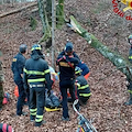 Taglia alberi con motosega e viene travolto da una pianta, boscaiolo soccorso a Verzegnis