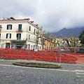 Taglio dei platani in Piazza Abbro, polemica "sempreverde"