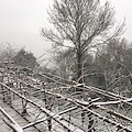 Torna la neve in Costiera Amalfitana, da stasera fiocchi fino ai 500 metri