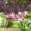 Tramonti, al 'Giardino segreto dell'anima' nuovo appuntamento di ‘...incostieraamalfitana.it'