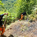 Tramonti, alla vigilia di Ferragosto incendio in località "Passo": estinto in poco tempo