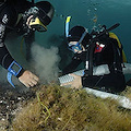 Troppi scarichi fognari nel mare della Costiera Amalfitana, fondali melmosi di liquami