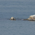 Tuffo di ferragosto fatale per giovane salernitano