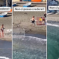 "Turista" fuori stagione cattura e disturba anatra a Minori: il video è virale