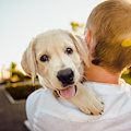 Un bonus fino a 200 euro per chi adotta un cane o un gatto abbandonati, l'iniziativa nel Bresciano