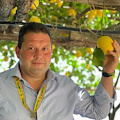 Un limoneto e un orto didattico presso l’asilo nido di Maiori: se ne discute all’Assemblea del Consorzio Limone Costa d’Amalfi I.G.P.