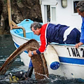 "Una rete da pesca per la filiera dei rifiuti marini", al via il progetto a Sorrento 