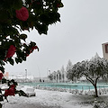 Unisa: disagi per gli studenti a causa della neve, Ateneo chiuso fino al 27 febbraio 