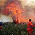 Vasto incendio, paura all'Avvocatella