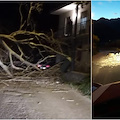 Vento forte, rudere crollato e albero abbattuto su strada a Tramonti [FOTO]